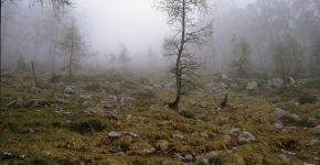 Gruselige Landschaften aus Horrorfilmen