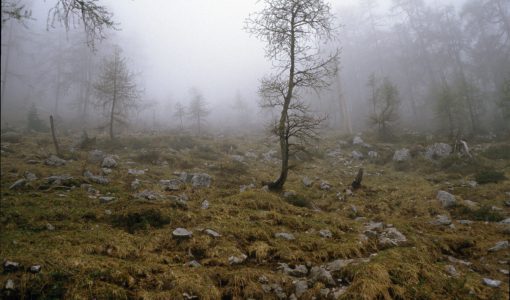 Gruselige Landschaften aus Horrorfilmen